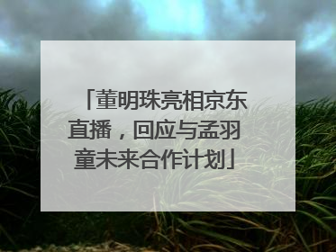 董明珠亮相京东直播，回应与孟羽童未来合作计划