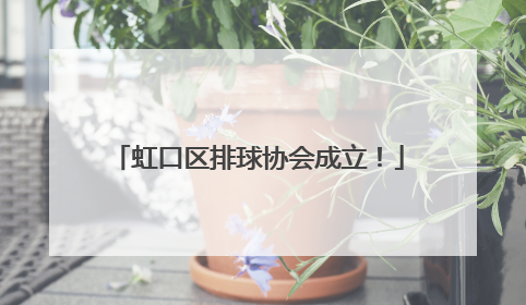 虹口区排球协会成立！