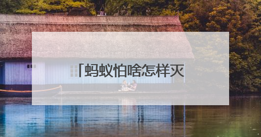 蚂蚁怕啥怎样灭蚂蚁不留痕？蚂蚁用什么药能彻底消灭？答案在这！