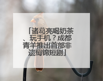 诸葛亮喝奶茶、玩手机？成都青羊推出首部非遗蜀锦短剧