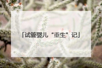 试管婴儿“重生”记