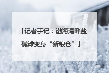 记者手记：渤海湾畔盐碱滩变身“新粮仓”