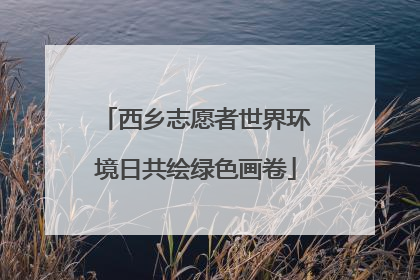 西乡志愿者世界环境日共绘绿色画卷