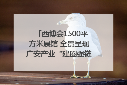 西博会1500平方米展馆 全景呈现广安产业“建圈强链”｜西博视界