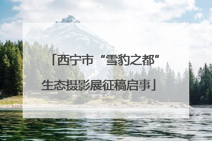西宁市“雪豹之都”生态摄影展征稿启事