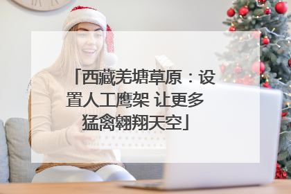 西藏羌塘草原：设置人工鹰架 让更多猛禽翱翔天空
