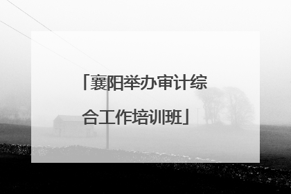 襄阳举办审计综合工作培训班