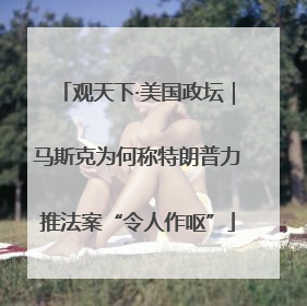 观天下·美国政坛｜马斯克为何称特朗普力推法案“令人作呕”