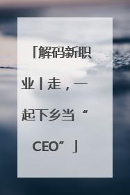 解码新职业丨走，一起下乡当“CEO”