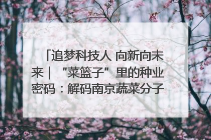追梦科技人 向新向未来｜“菜篮子”里的种业密码：解码南京蔬菜分子育种的创新之路