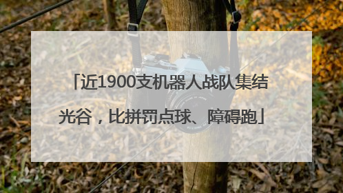 近1900支机器人战队集结光谷，比拼罚点球、障碍跑
