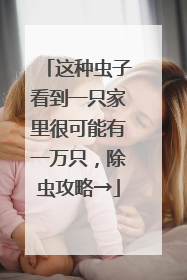 这种虫子看到一只家里很可能有一万只，除虫攻略→