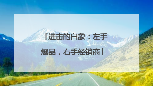 进击的白象：左手爆品，右手经销商