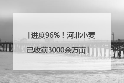 进度96%！河北小麦已收获3000余万亩