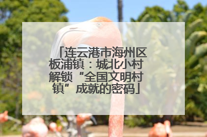 连云港市海州区板浦镇：城北小村解锁“全国文明村镇”成就的密码