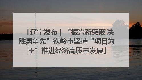 辽宁发布｜“振兴新突破 决胜勇争先”铁岭市坚持“项目为王”推进经济高质量发展
