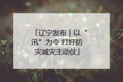 辽宁发布｜以“汛”为令 打好防灾减灾主动仗