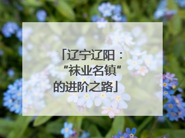辽宁辽阳：“袜业名镇”的进阶之路