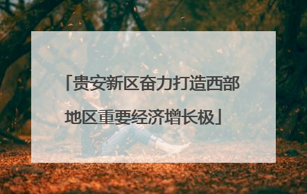 贵安新区奋力打造西部地区重要经济增长极