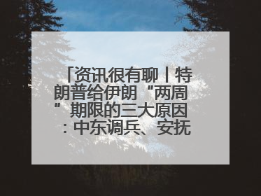 资讯很有聊丨特朗普给伊朗“两周”期限的三大原因：中东调兵、安抚国内、个人习惯