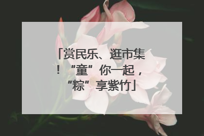 赏民乐、逛市集！“童”你一起，“粽”享紫竹