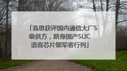 赛思获评国内通信大厂S级供方，跻身国产SLIC语音芯片领军者行列