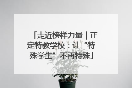 走近榜样力量｜正定特教学校：让“特殊学生”不再特殊