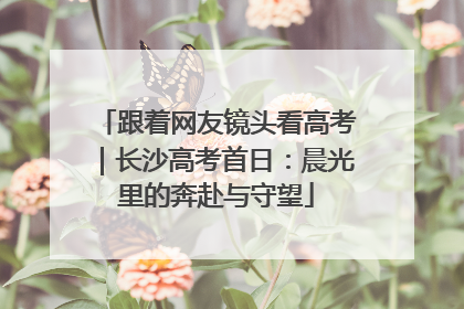 跟着网友镜头看高考｜长沙高考首日：晨光里的奔赴与守望