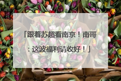 跟着苏超看南京！南哥：这波福利请收好！