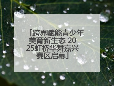 跨界赋能青少年美育新生态 2025虹桥华舞嘉兴赛区启幕