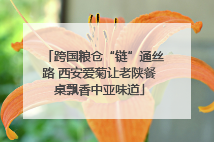 跨国粮仓“链”通丝路 西安爱菊让老陕餐桌飘香中亚味道