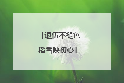 退伍不褪色 稻香映初心
