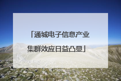 通城电子信息产业集群效应日益凸显