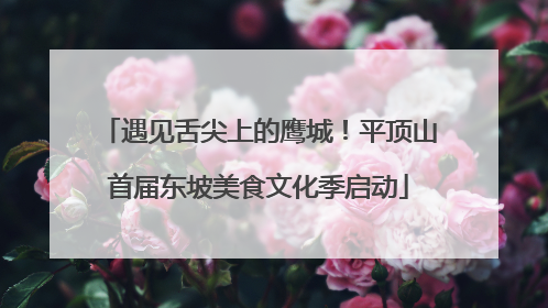 遇见舌尖上的鹰城！平顶山首届东坡美食文化季启动