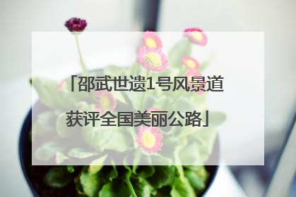 邵武世遗1号风景道获评全国美丽公路