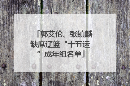 郭艾伦、张镇麟缺席辽篮“十五运”成年组名单