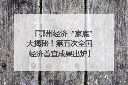 鄂州经济“家底”大揭秘！第五次全国经济普查成果出炉