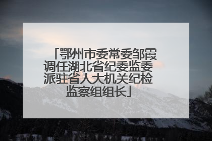 鄂州市委常委邹霞调任湖北省纪委监委派驻省人大机关纪检监察组组长