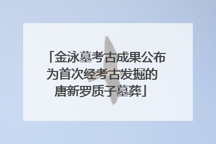 金泳墓考古成果公布 为首次经考古发掘的唐新罗质子墓葬