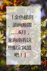 金色梯田、油画晚霞……6月，来海南看这些限定风景吧！