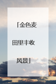 金色麦田里丰收风景