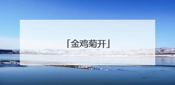 金鸡菊开