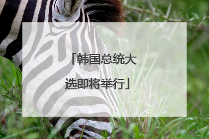 韩国总统大选即将举行