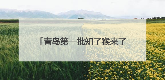 青岛第一批知了猴来了！80后小伙承包60亩林地，高峰期日入过万