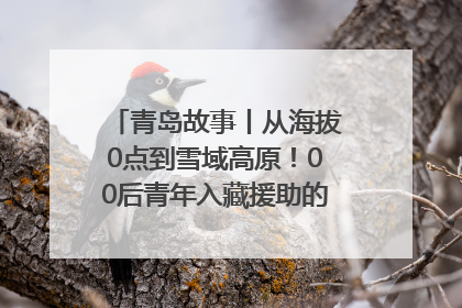 青岛故事丨从海拔0点到雪域高原！00后青年入藏援助的400多个日夜