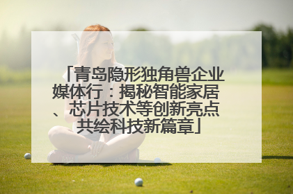 青岛隐形独角兽企业媒体行：揭秘智能家居、芯片技术等创新亮点 共绘科技新篇章