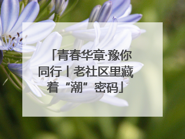 青春华章·豫你同行丨老社区里藏着“潮”密码