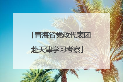 青海省党政代表团赴天津学习考察