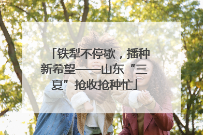 铁犁不停歇，播种新希望——山东“三夏”抢收抢种忙