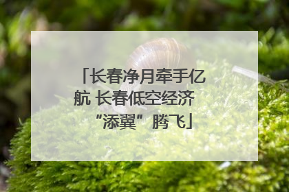 长春净月牵手亿航 长春低空经济“添翼”腾飞